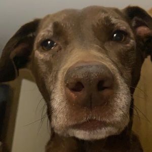 Meet your Posher, Stefan